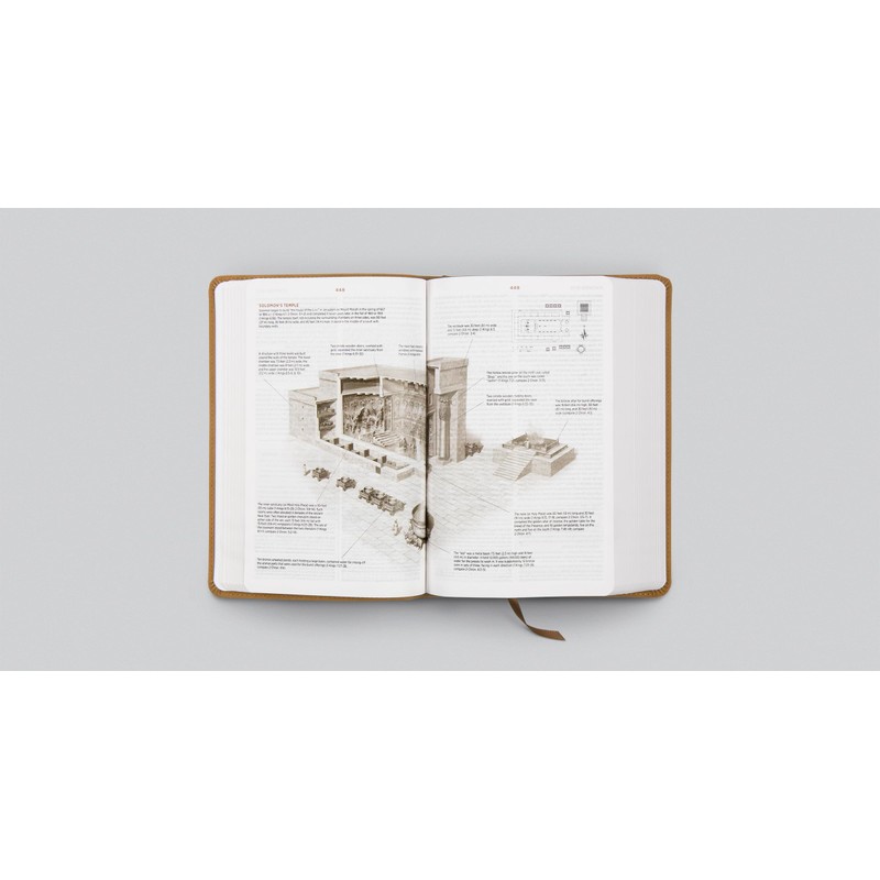 ESV Student Study Bible (TruTone, Nubuck Caramel, Wildflower Design)