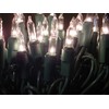 EZLS Mini Christmas Lights String 70 Bulbs - Mini Wedding