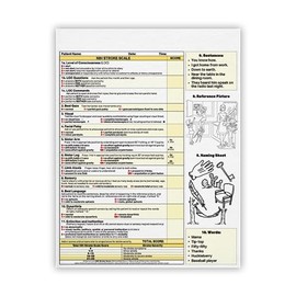 MDpocket National Institutes of Health Stroke Scale (NIHSS) Notepad (2 Pack (50 Sheets))