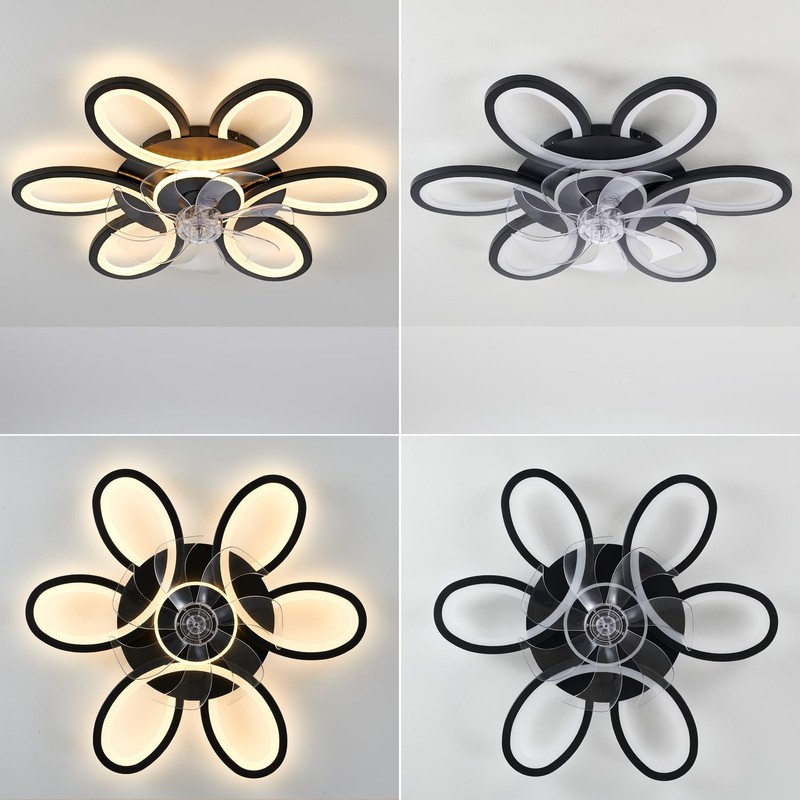 Black-Star ring Ceiling Fans with Lights and Remote, 27 Inch