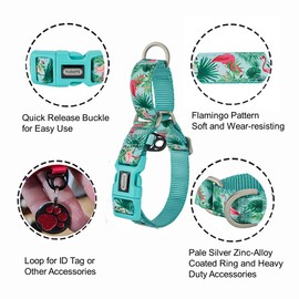 Petiry Martingale Dog Collar,Flamingo Pattern,with Safety Quick Release Buckle,Escape-proof Anti-pull for Medium Dogs(Flamingo,M)