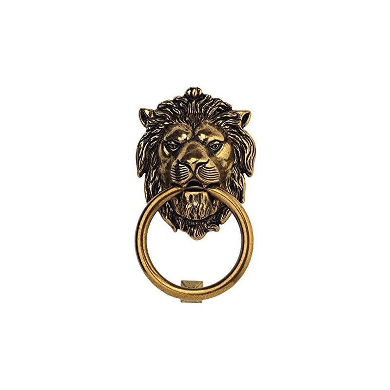 Forge Hardware Studio Brass Lionhead Door Knocker - Brass Home