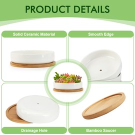 ZOUTOG Succulent Pots,6 Inch Succulent Planters with Drainage and Tray,White Ceramic Planters for Indoor Plants,Round Shallow Flower Plant Pots,Pack of 2