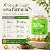 Aceite De Orégano Natural Suplemento Dietético 60 Cápsulas