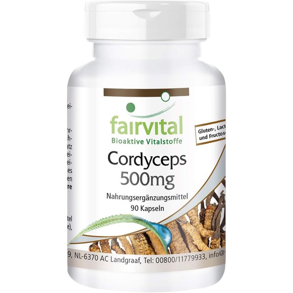 Fairvital Cordyceps Capsules - 500 mg Cordyceps Mushroom Powder per Capsule - High Dose - Cordyceps Sinensis (Caterpillar Fungus) - Vegan - 90 Capsules