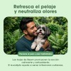 BIOMAA Shampoo para Perros con Extractos de Neem y Eucalipto,