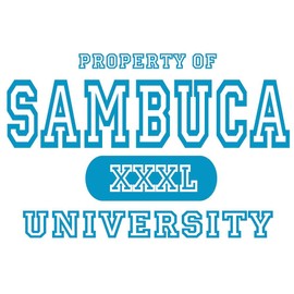 CafePress Sambuca University Alcohol 10" Wall Clock for Livingroom, Kitchen, or Office