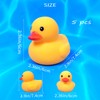 Waterproof No Squeak No 'Bebe' Noise 3 inch Rubber Funny