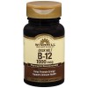 Windmill B12 1000 mcg Melts 100 EA