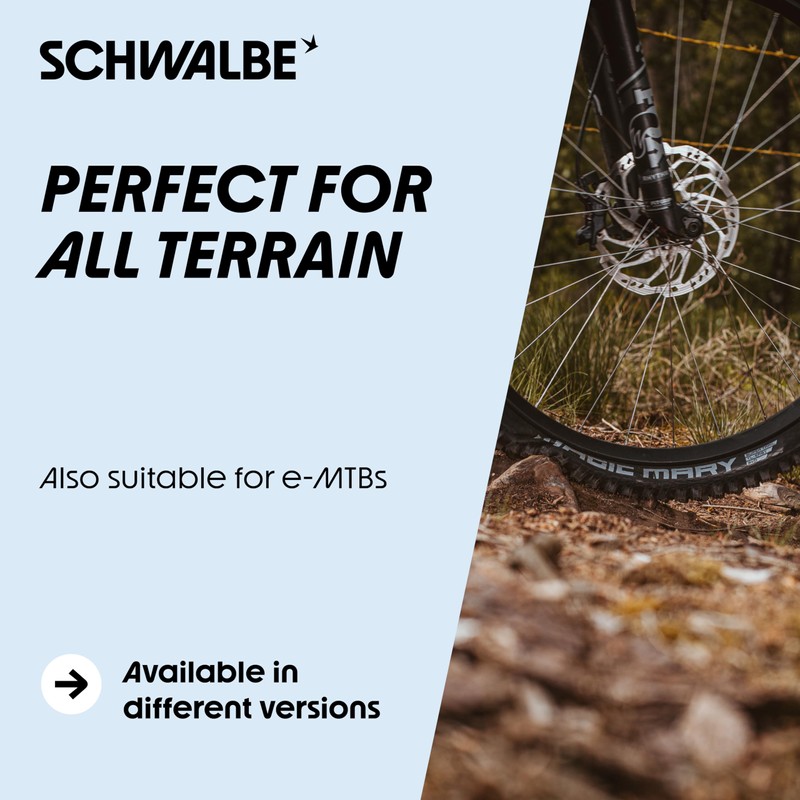 SCHWALBE Nobby NIC TwinSkin, TLR