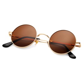 COASION Retro Small Round Polarised Sunglasses for Men Women UV400 Protective Circle, Golden Frame | Brown Lens