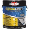 Black Jack Eterna-Kote 100% Silicone+ Roof Coating, White, 1 Gallon,