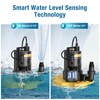 CrestWave 1/3 HP Automatic Pool Cover Pump, 2500GPH Submersible Water