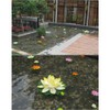 Lightingsky Artificial Floating Foam Lotus Flower Pond Decor Water Lily
