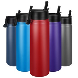24 oz Insulated Water Bottle with Straw, Stainless Steel Double Wall Vacuum Thermos with Straw Lid Leak Proof, Wide Mouth Lid, Keep Cold and Hot