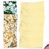 M6031sl Oopsy Daisies: 10 Assorted Blank All-Occasion Note Cards Feature