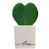 Costa Farms Live Indoor Plant Hoya Heart, Succulent-Like Houseplant in
