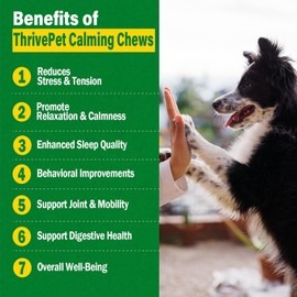 (2 Pack) Hemp Calming Chews for Dogs - 240 Count | Beef Flavor - Puppy Dog Calming Treats Supplement for Storm Anxiety, Sleep, Relaxing, Separation Aid, Stress Relief - Vet Approved - Made in USA