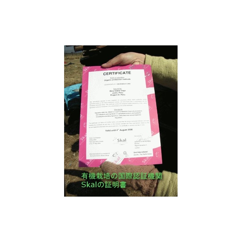有機マカ粒(高吸収タイプ)100g入り 無添加（100％有機マカ）吸収率が違う 1日3000ｍｇ 300ｍｇ×３３４粒 マカサプリメント 妊活にも最適