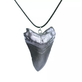 Megalodon Shark Tooth Pendant Necklace - 2" Replica Fossil -  Bone Jewelry