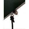 GAO Flora Pack of 40 Universal Plant Holders, Eyelet Hooks,
