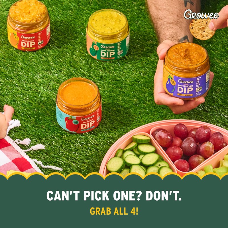 Growee Foods Indian Style Curry Zucchini Chip Dip & Spread