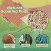 SCRUBIT 24 Natural Scouring Pads - Eco Friendly Scrubbing Pads