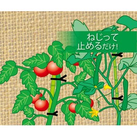 Takagi Vinyl Ties for Chrysanthemums, 5.9 inches (150 mm) x 100 Pieces