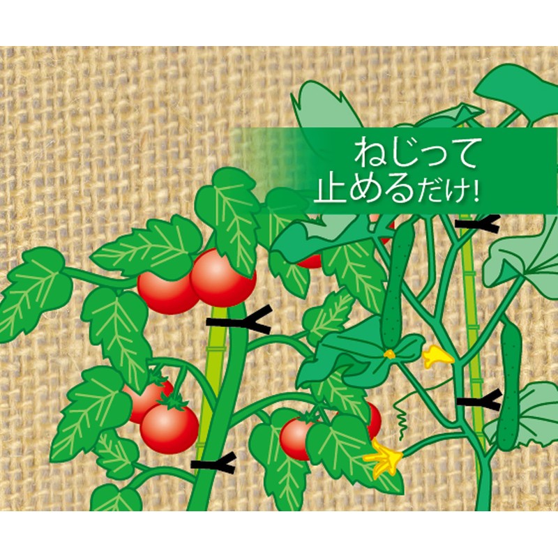 Takagi Vinyl Ties for Chrysanthemums, 5.9 inches (150 mm) x