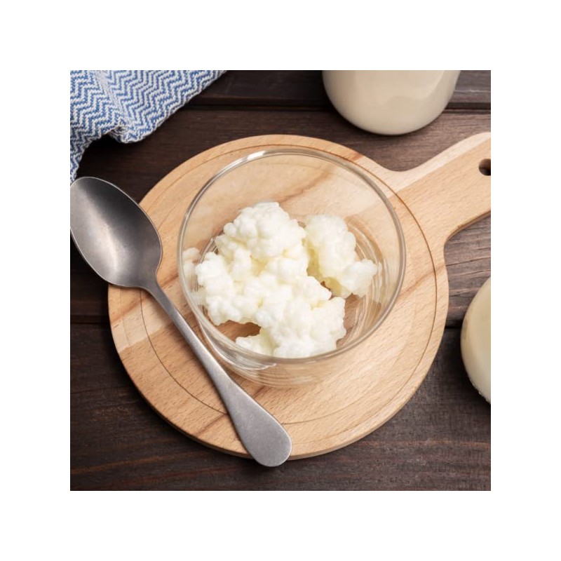 Freshly Fermented – 15g Organic Certified Milk Kefir Grains
