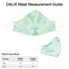 DALIX Exclusive Charmeuse Satin 3 Layer Face Mask in Mint