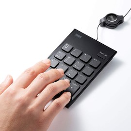 Sanwa Supply NT-21UBK Winding USB Numeric Keypad