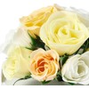 Francfranc Franc Cadmignon Bath Petals Bouquet Light Green