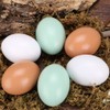 Wooden Fake Eggs-6Piece by Green FABWOOD