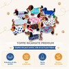 ARYIMYDP 10 Toppa Termoadesive,Toppa Termoadesiva Per Tessuti,Toppe Termoadesive Bambini Adulti