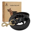 FAIRWIN Leather Dog Leash 6 Foot - Braided Military Grade