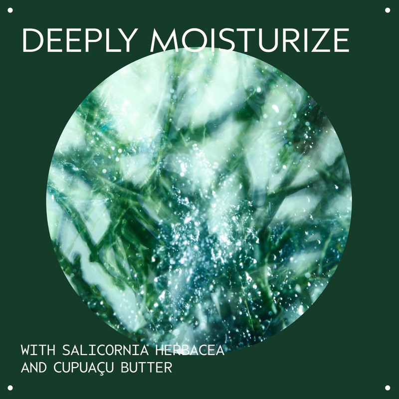 Aveda Botanical Kinetics Intense Hydrating Soft Creme | Face Cream