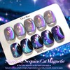 Born Pretty Cat Magnetic Eye Gel Nail Polish, Blue Starry