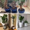 3 Pack Plant Caddy with Wheels Rolling Plant Stand with