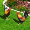 Metal Chicken - Chicken Metal Garden Art,Spring Outdoor Decorations, Set