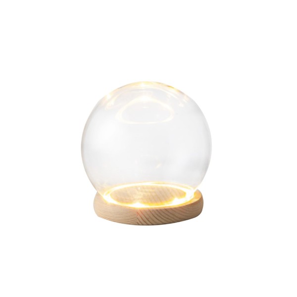 starink Clear Glass Dome with LED Collection Case Round Display
