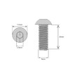 M4 (4mm x 16mm) Hex Socket Button Head Screws -