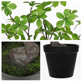 Large Artificial Plants for Home Decor Indoor, 21 Inch Tall Fake Plants in Black Pot, Faux Desk Plant Table Centerpieces for Bedroom Living Room Farmhouse Office Decor, Small Artificial Tree