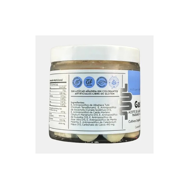 Gomitas Gastro 160 Grs Acidez Gastritis Reflujo Desinflama Sabor Insabor