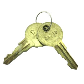 Edwards Set of 2 Edwards CAT30 Style Fire Alarm Panel Pull Station Control Brass Keys