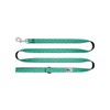 RC Pets Fun, Durable, Sporty Dog Leash-6 Feet x 3/4 Inch | Gemstone