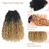 Yanky Twist Crochet Hair 10inch Ombre Pre-Twisted Bohemian Twist Curly