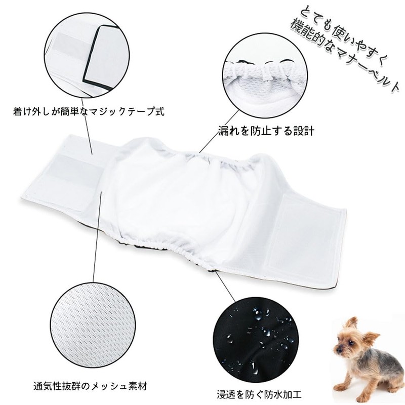 Feather Store Dog Manor Belt, 3-piece Set, Male, Mesh Lining,