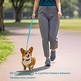 Siumouhoi 6 FT Puppy Leashes, Strong Traditional Style Leash with Easy to Use Collar Hook,Dog Lead Great for Small and Medium and Large Dog (Mint Blue, 5/8 in x 6 ft)