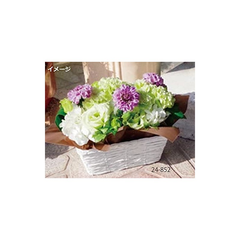 Ohashi Shinji Shoten Planter Cover White Cornet Basket D4 24-964
